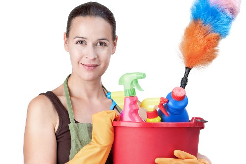 Professional pet stain odour removal for carpets in Perivale