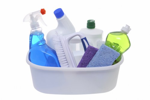 Odour neutralising service for pet accidents in Perivale properties