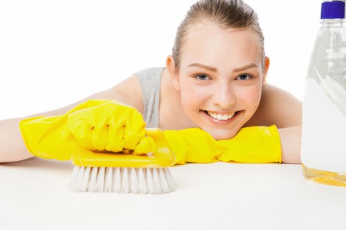 Professional carpet stain removal process