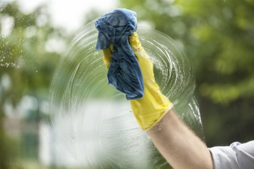 Deep rug cleaning process for homes in Perivale
