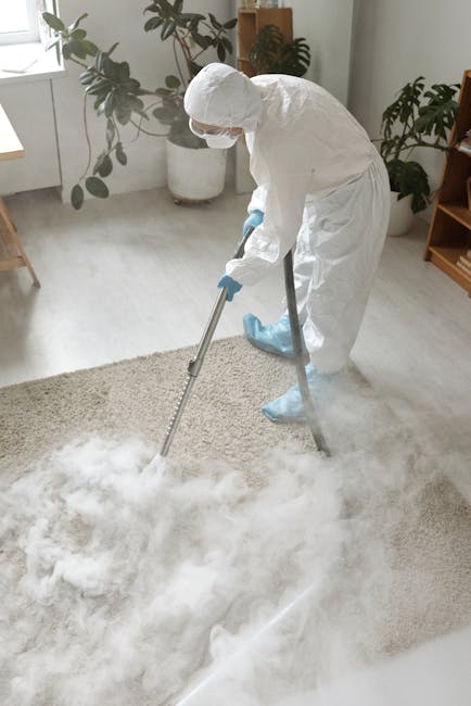 A close-up view of a vacuum cleaner with a transparent dust container filled with debris, positioned on a beige carpet in a room with white walls and brown wooden skirting. The vacuum hose, with a pat